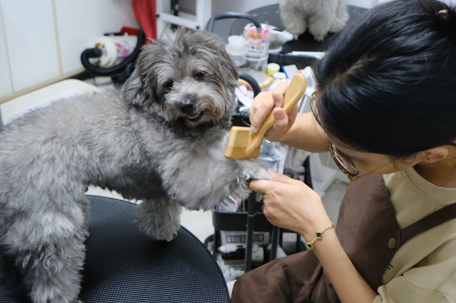 5 dấu hiệu nhận biết grooming salon chuyên nghiệp