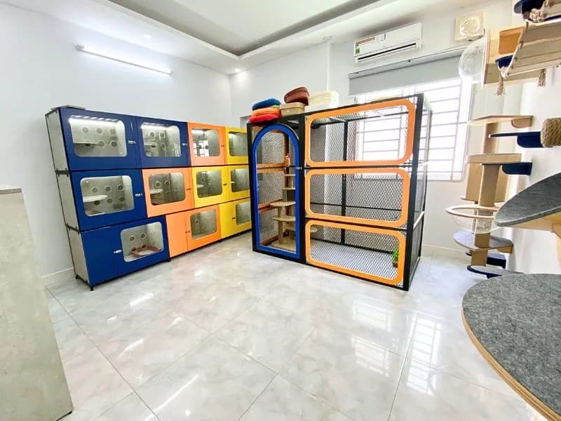 So sánh Pet Hotel vs Pet Sitting — Hình thức nào phù hợp với bé?
